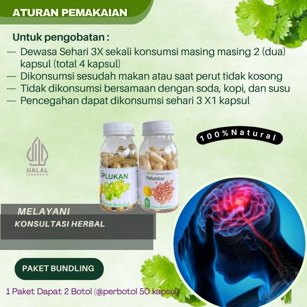 Herbal Circulation Support Coriander & Ciplukan Capsules Indonesia