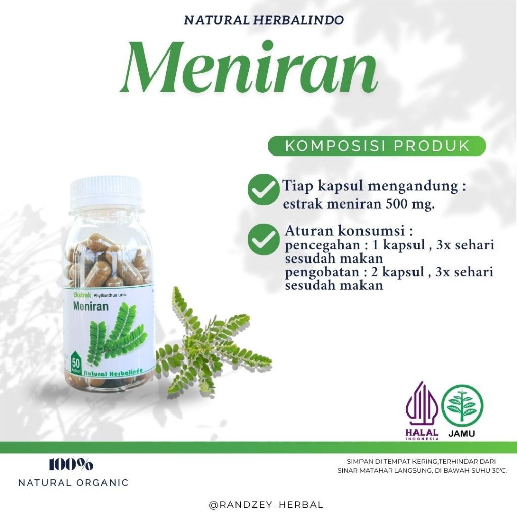 Meniran Herbal Capsules 50 Caps Indonesian Traditional Formula