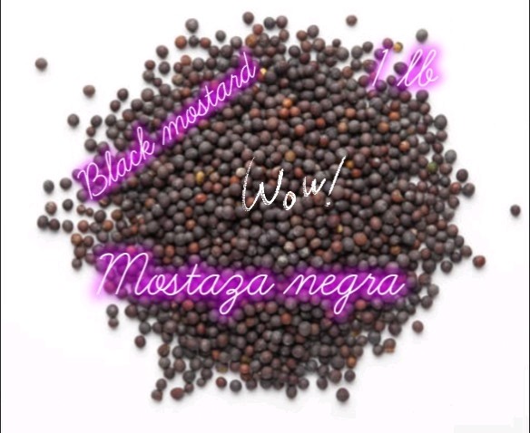 semilla de mostaza negra~black mustard seed -1 lb