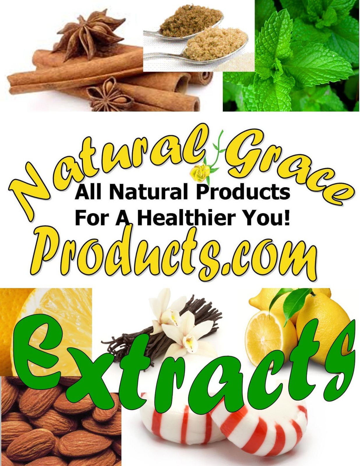 Natural Grace Products Extra Strength Pure Basil Extract Natural & Organic