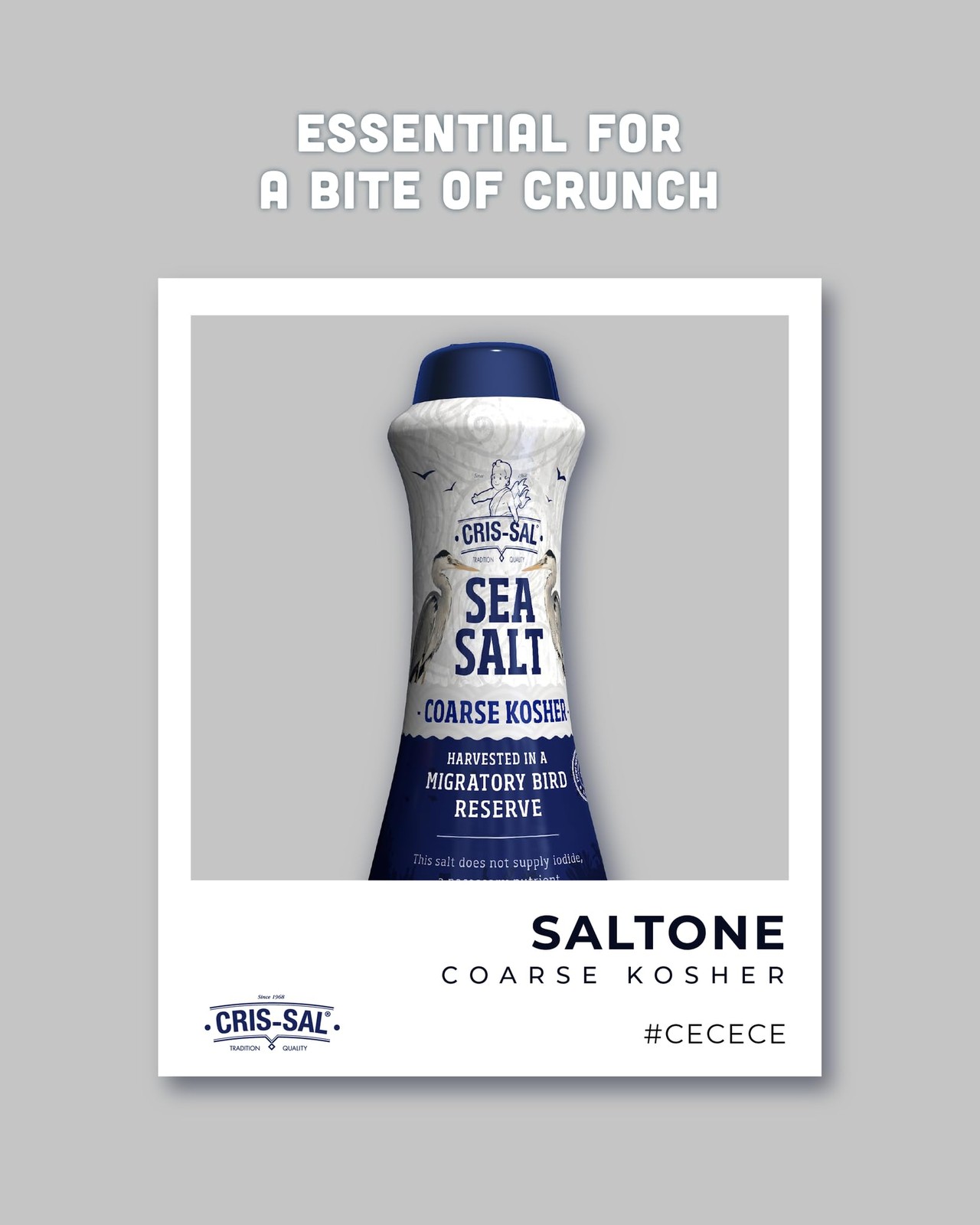 Gourmet Coarse Kosher Sea Salt, 17.63 oz