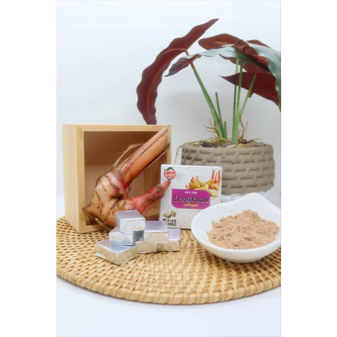 SUDEE Kiub Lengkuas / Galangal Cube for cooking [54g]