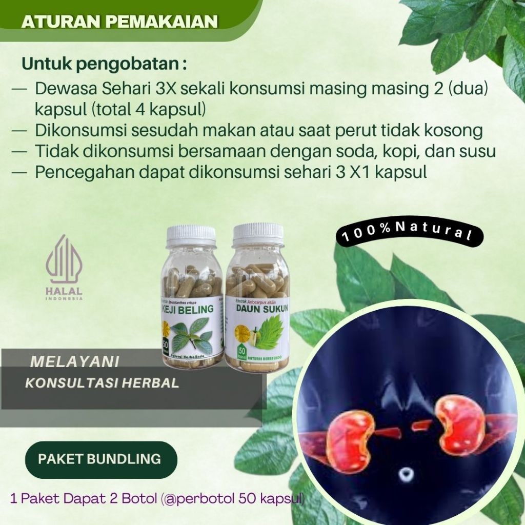 Indonesian Herbal Capsule Pack Keji Beling & Breadfruit Leaf 2×50 Caps