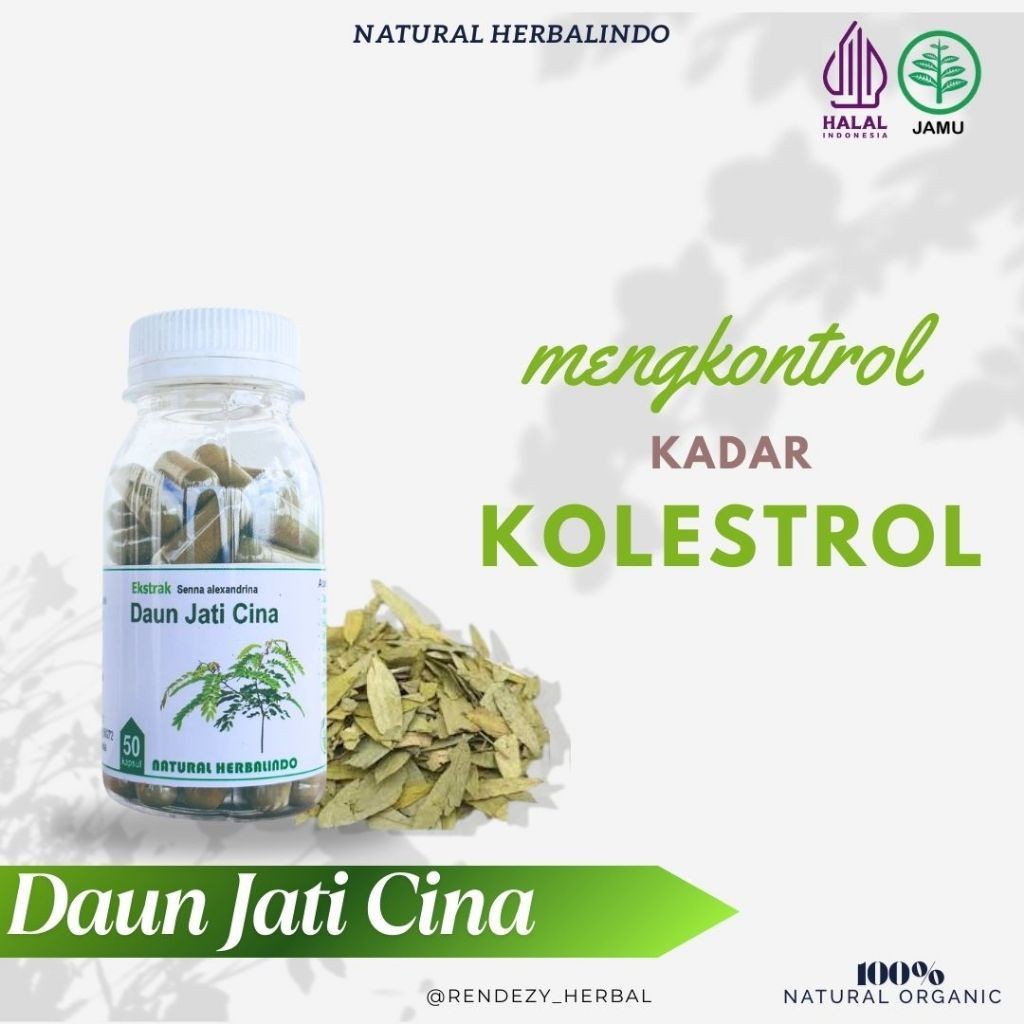 Senna (Daun Jati Cina) Capsules 50pcs 500mg Natural Indonesia