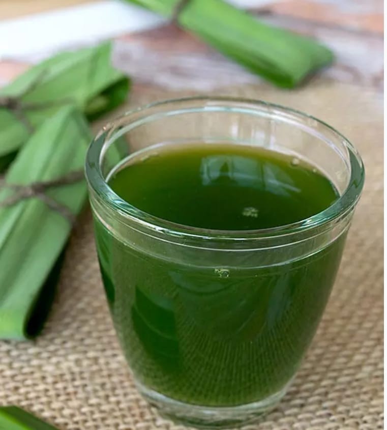 Natural Fresh Pandan Leaves Authentic Asian Herb for Desserts and Cuisine