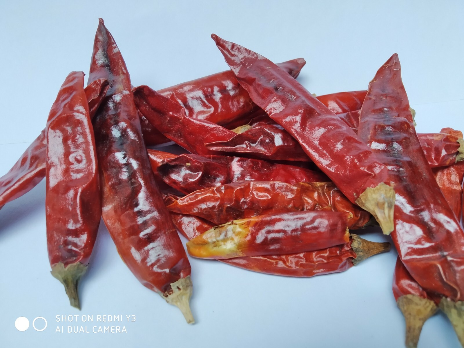 50g Ceylon Sun Dried Red Chili Hot Naturel Quality 100% Free shipping Oz Arbol