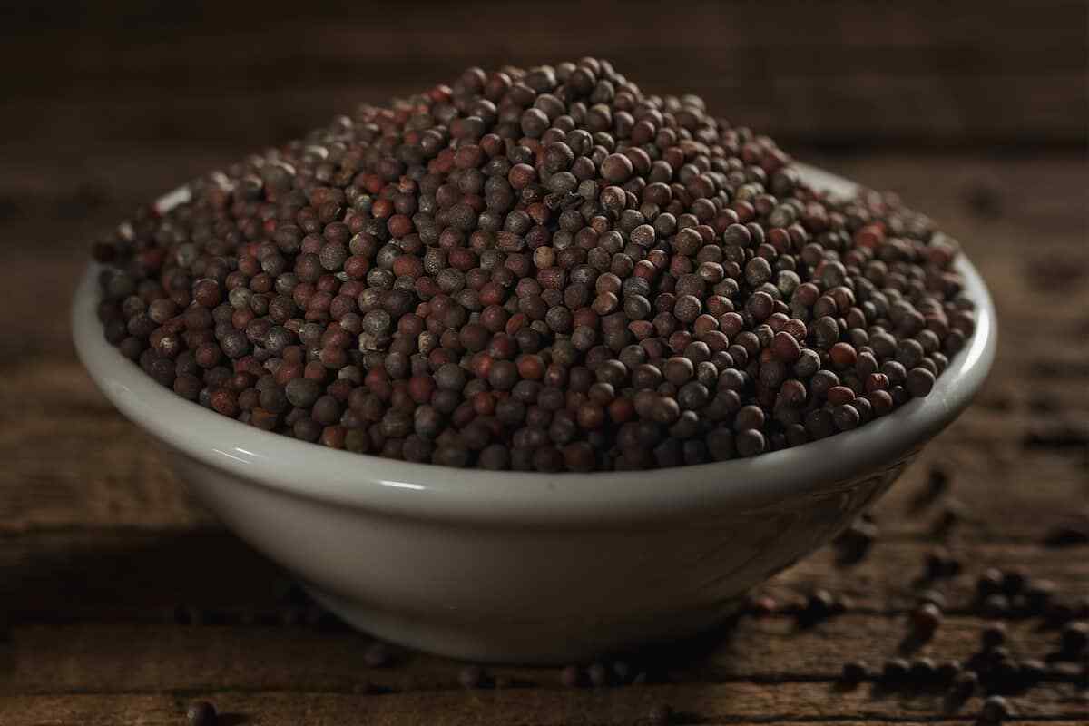 Sampath Musterd Seeds Black 100g Ceylon Organic Pure Natural Spices Quality New
