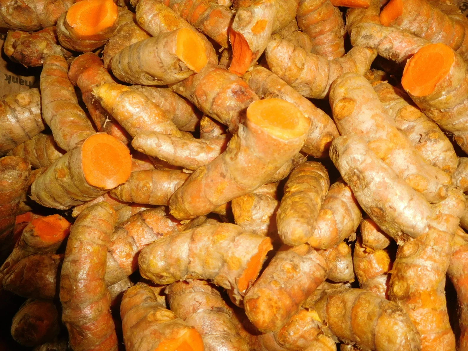 Freeze-Dried Organic RED Turmeric Whole Root Fine Flakes 2 ounces