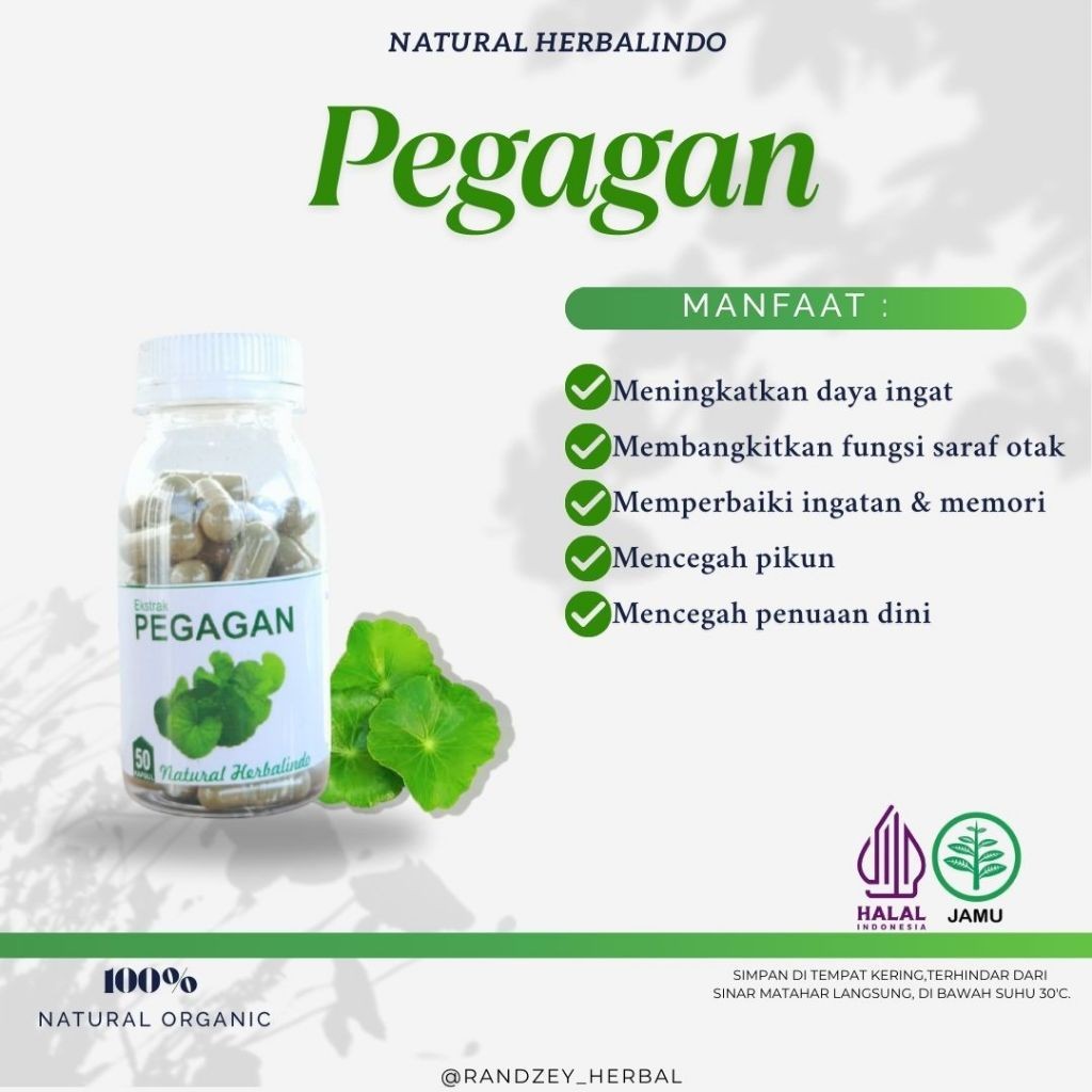 Pegagan (Centella) Herbal Capsules 50pcs Indonesia Natural