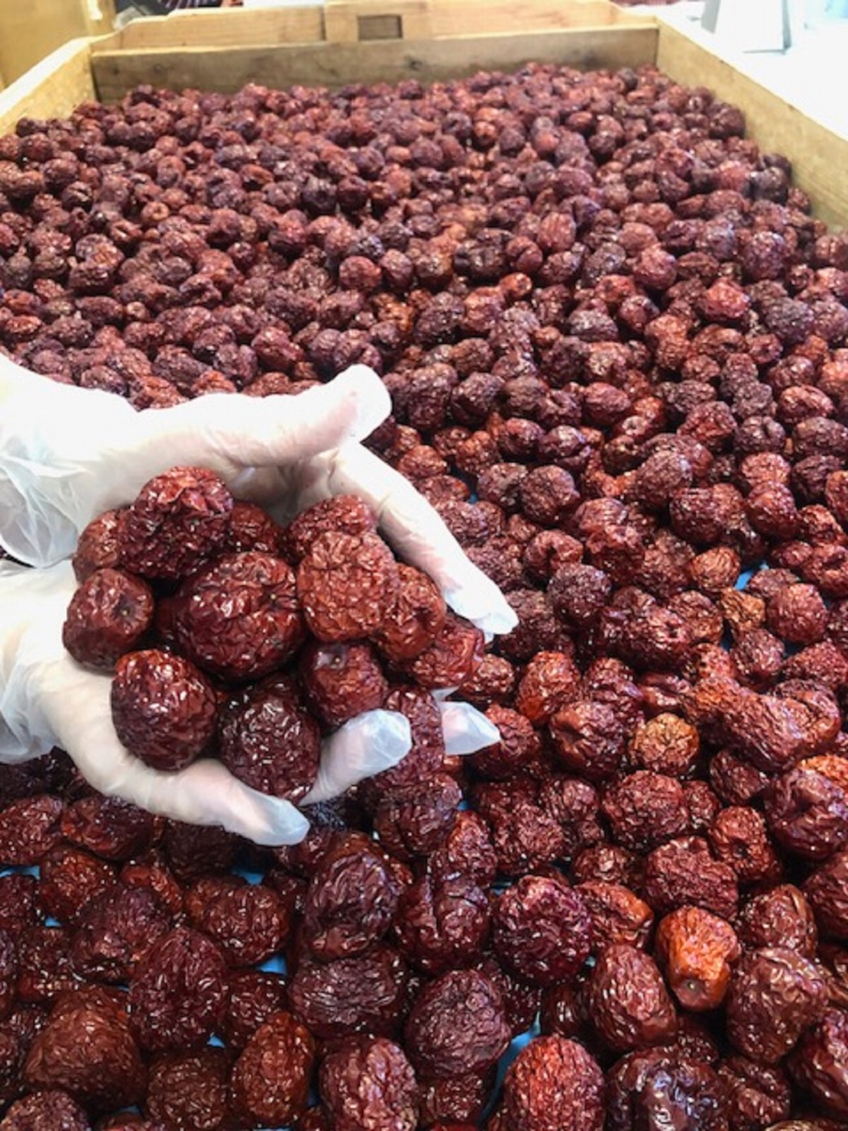 100% Organic, Jujube Powder, Freeze-Dried, Farm Direct, 红枣粉, 대추분말