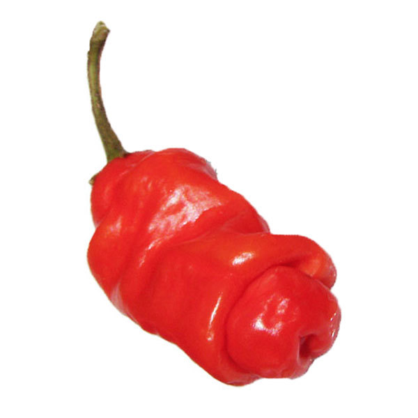 Peter Pepper Chili Powder 1lb | Willy Pepper Ground best quality!!!