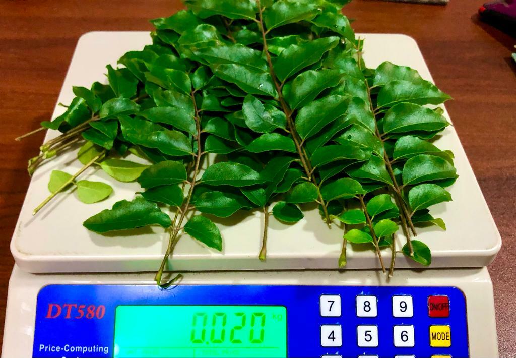 20g Natural Sun Light Dry Fresh Curry Leaves ,Fresh Organic Grade A -Vacuum Pack