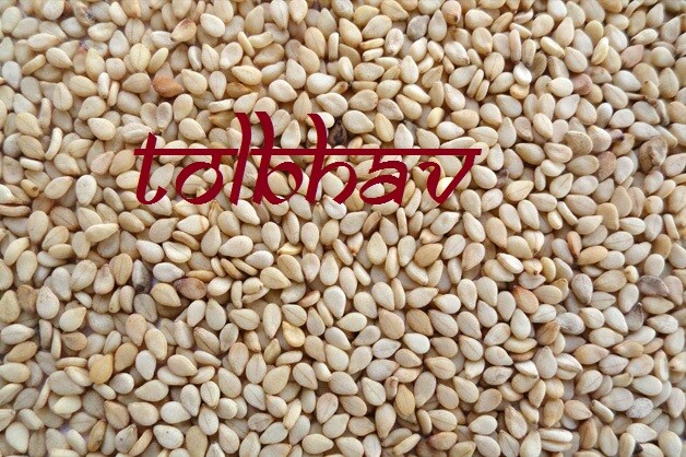 100% Pure Sesame White / Til Natural Spice Premium Quality from India