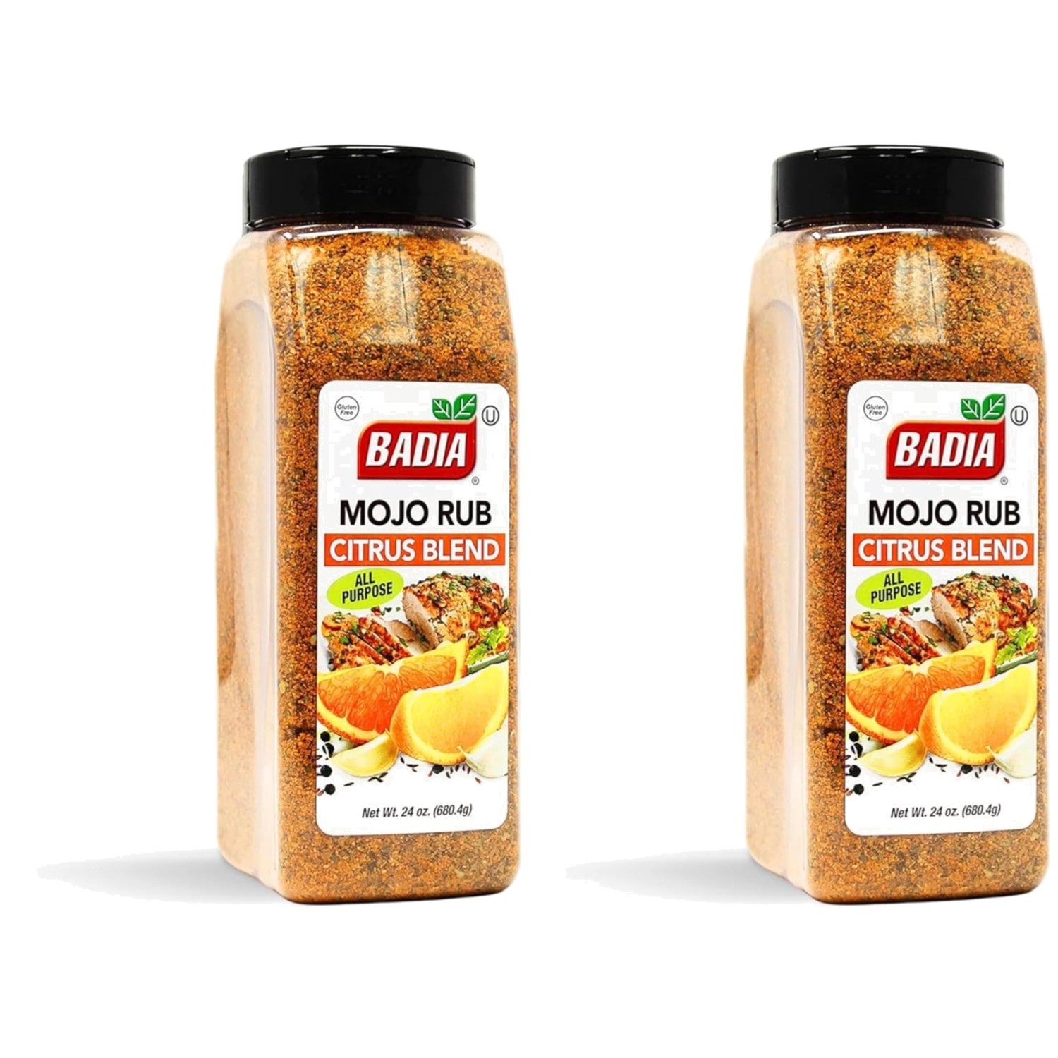 Lemon Lime Mojo Rub, 24 oz x 2 – Grill Seasoning