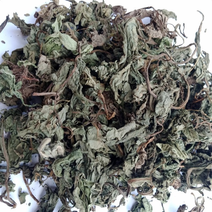 Insulin Plant Leaf Dried 1000g for aroma ritual eco conscious flavor culinary