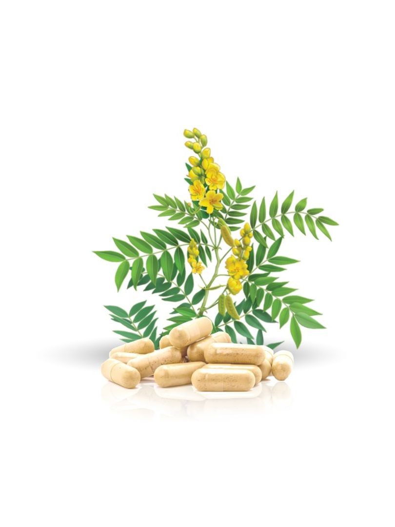 3x senna leaf herbal capsules 60s bundle 300g digestive support gentle balance