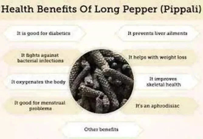 Whole Organic Long Pepper Best Organic Indian Long Pepper Pippali – Free Ship
