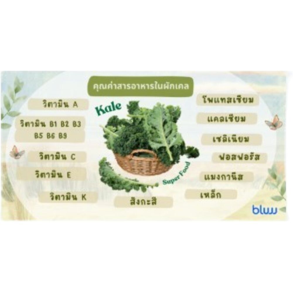 Kale Powder Superfood Brassica Thai Organic Moonfarms Oleracea Oz No Flour No Su
