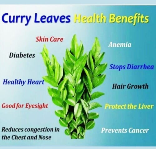Ceylon Fresh Dried Curry Leaves Powder 100% Natural Best Primum from Sri lanka