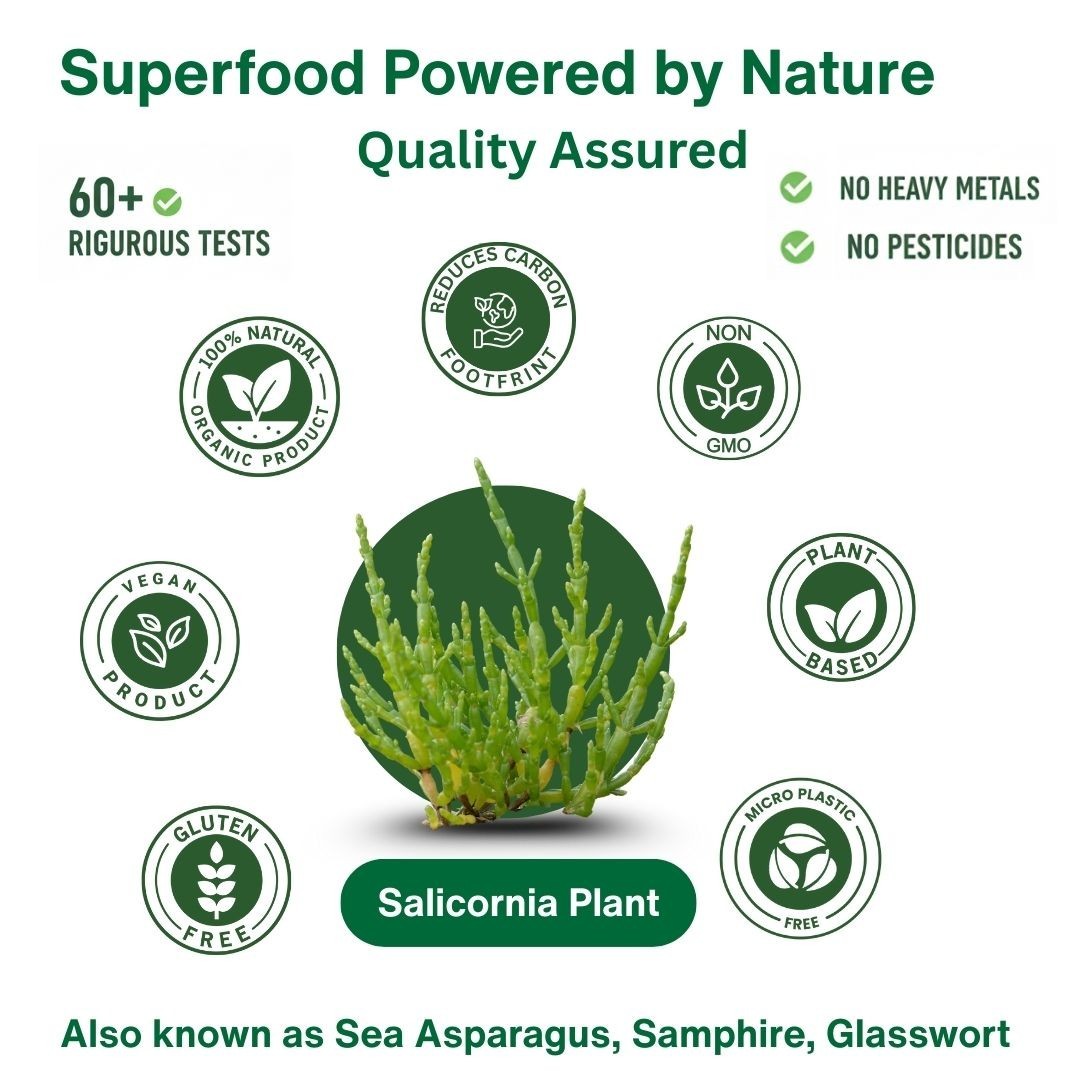Salicornia White Salt – Low Sodium, Plant Based Mineral Salt, No Additives, 7oz