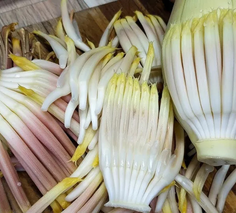 BANANA BLOSSOM FLOWERS ORGANIC 100% NATURAL HEALTHY HERBAL QUALITY