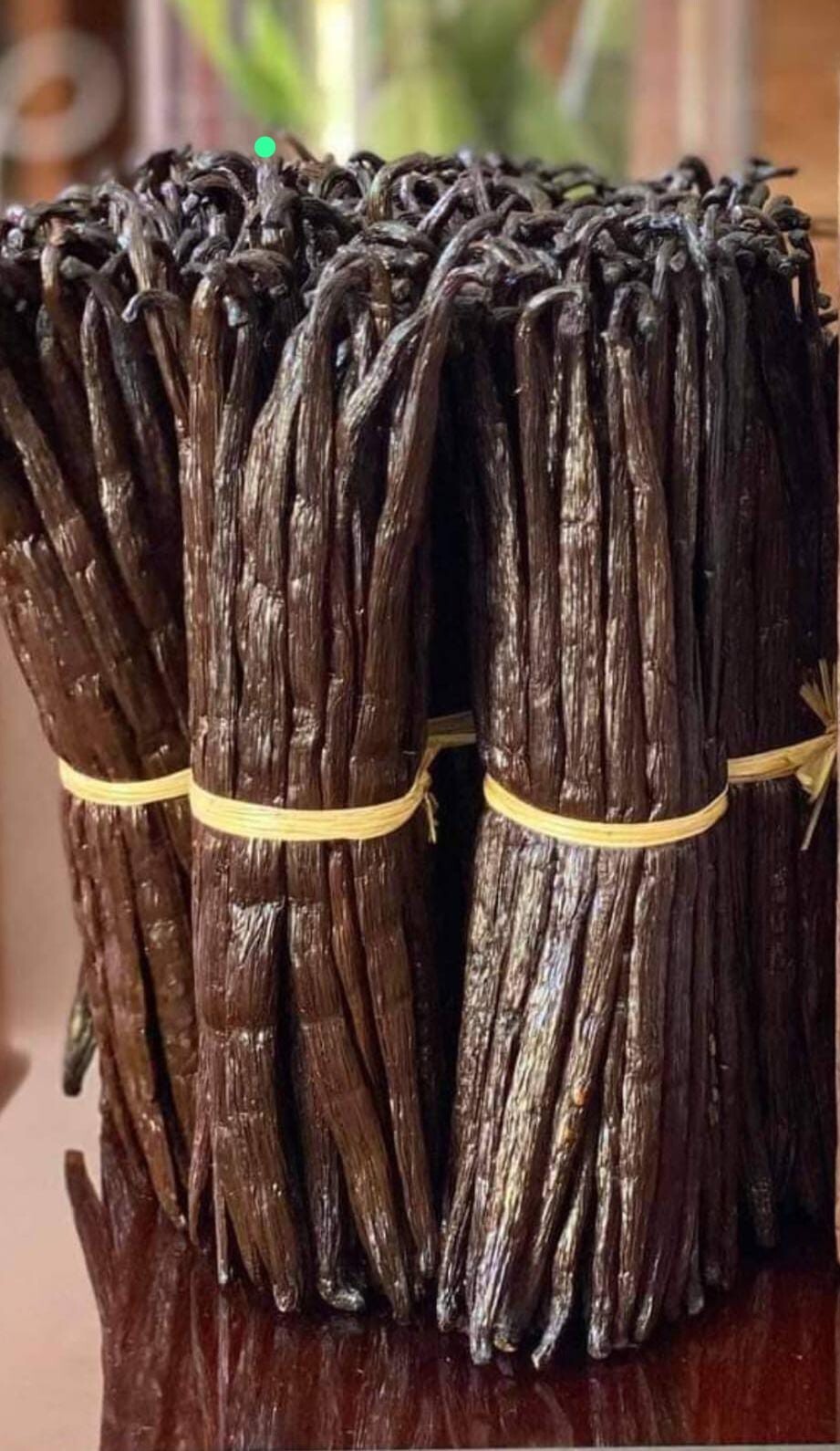 Vanilla Bean Vanilla Stick Vanilla Beans Bourbon Vanille de Madagascar 18-20cm