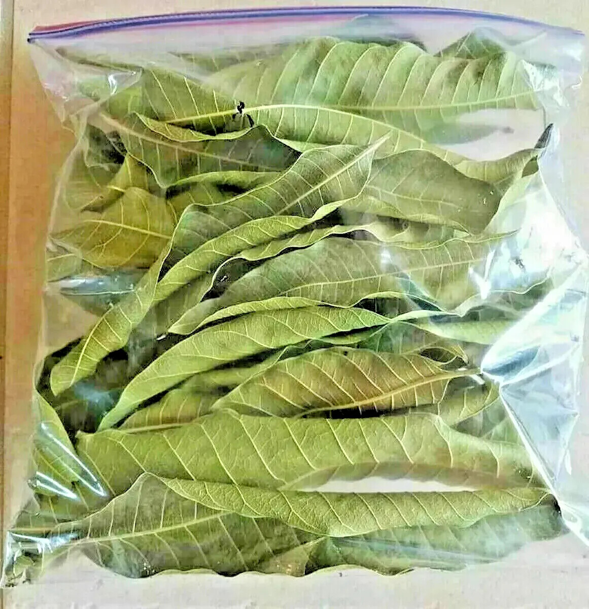 ORGANIC PURE CEYLON 100% NATURAL SUN DREIED MANGO HERBAL LEAVES 150Pcs