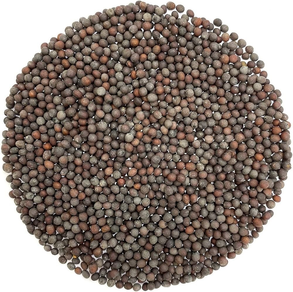 Brown Mustard Seed Natural Whole Rai Seeds Fresh Pure Premium Spice