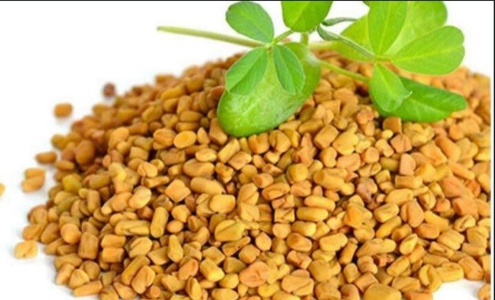 100% Pure Organic Fenugreek Seeds (Trigonella Foenum Graecum Methi) Sri Lanka