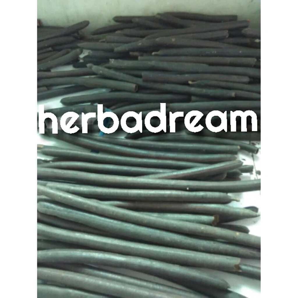 TRENGGULI Dried Natural Organic Herb Spices Fresh Pure Hygienic Premium