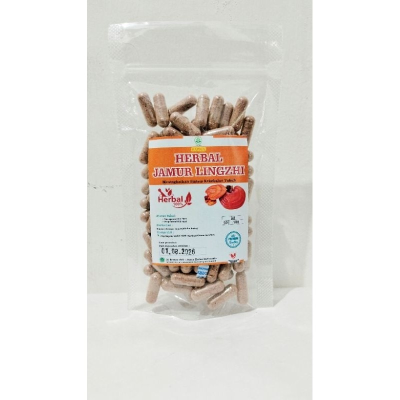 Reishi Lingzhi Extract 500mg Capsules 100 Count Natural Mushroom Herbal Blend