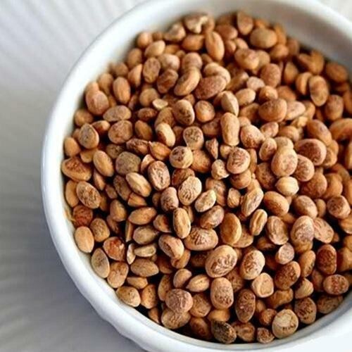 Dry Chironji/ Buchanania Lanzan (100g) Is Good For Skin & Used In Desserts Also