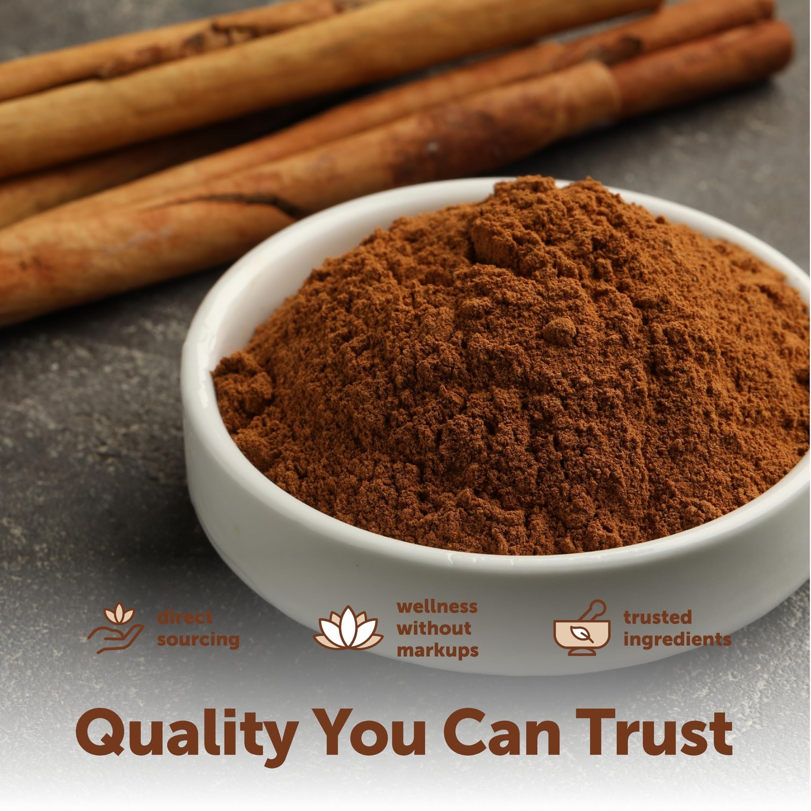Micro Ingredients Organic Ceylon Cinnamon Powder, 1 lb | 1 Pound (Pack of 1)
