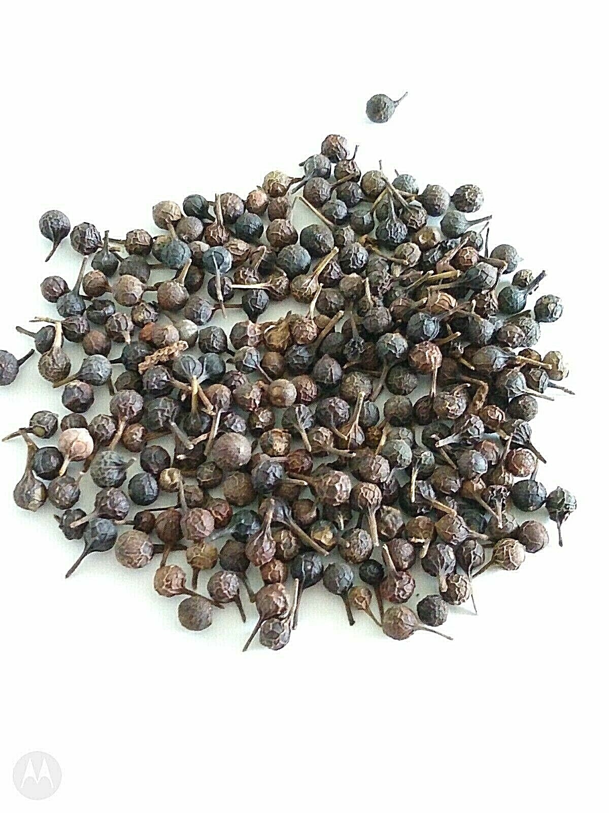 CUBEB PEPPER BERRIES WHOLE INDONESIA 1 OZ – 16 OZ RESEALABLE BAG