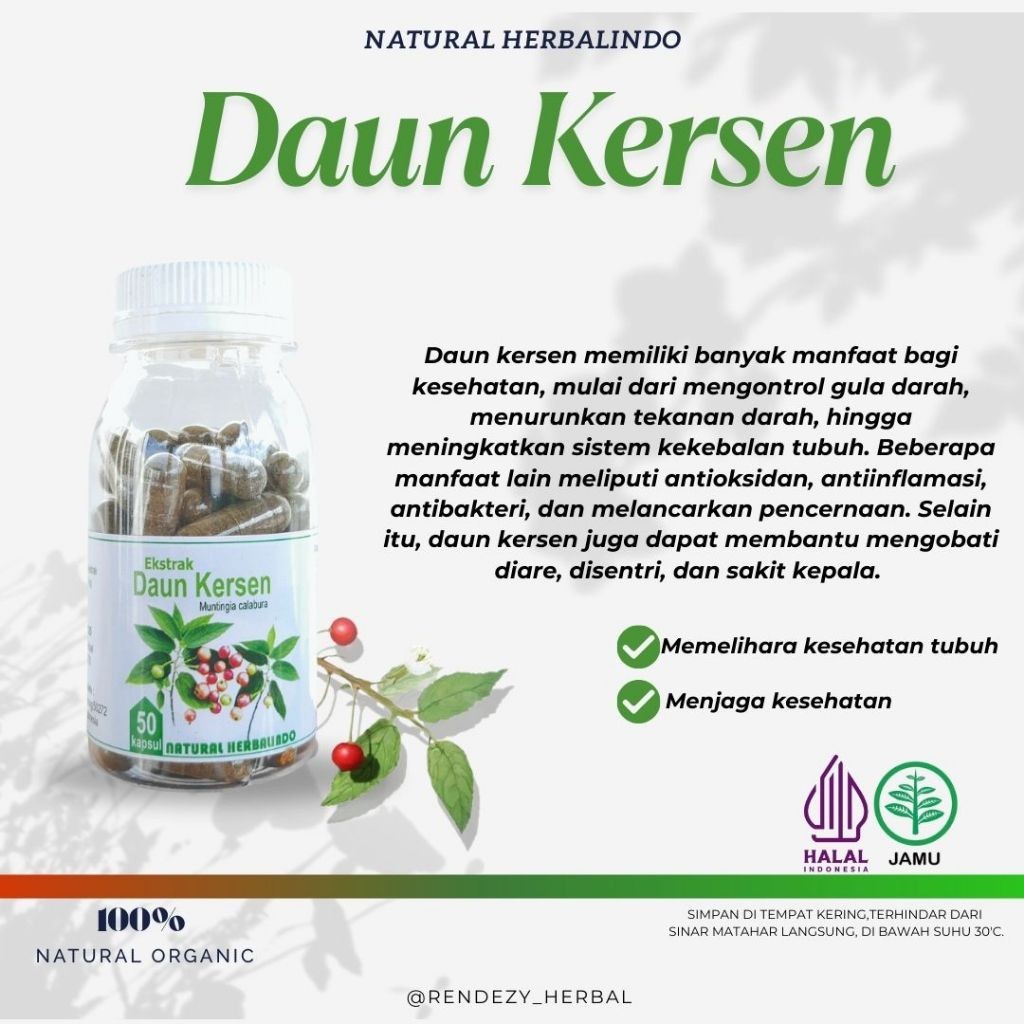Indonesian Muntingia (Kersen) Leaf Herbal Capsules 50s