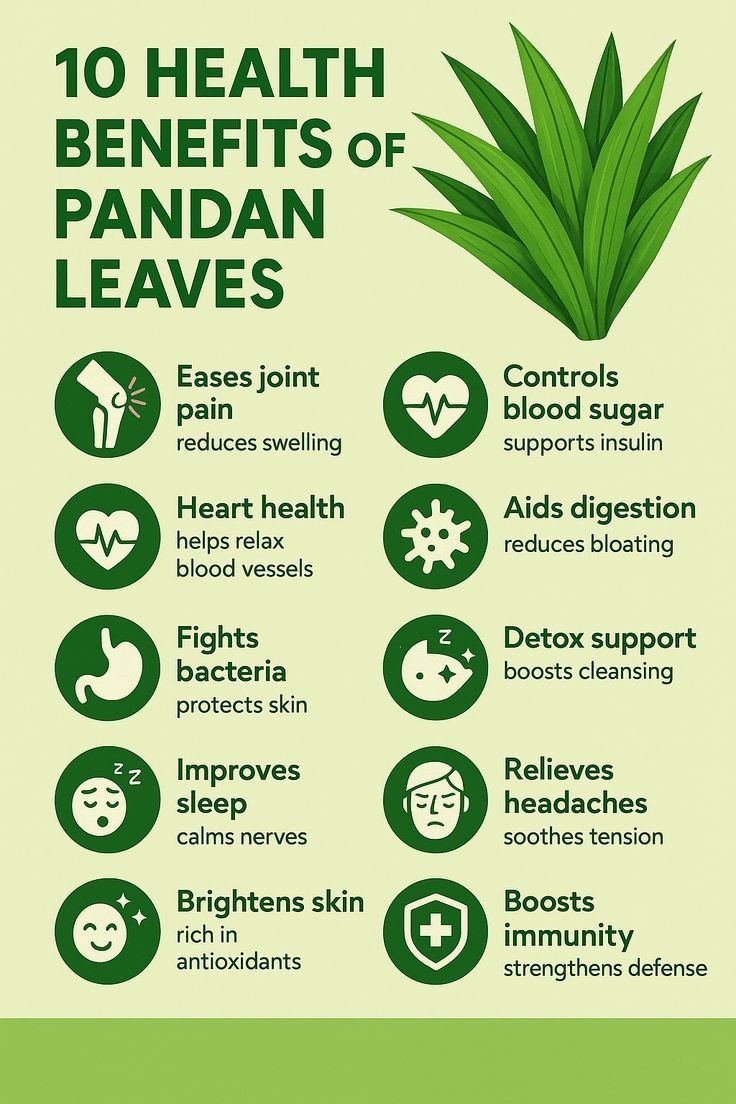 Organic Dried Pandan Leaves Nature Aroma for Drinks Bake Dessert 50g
