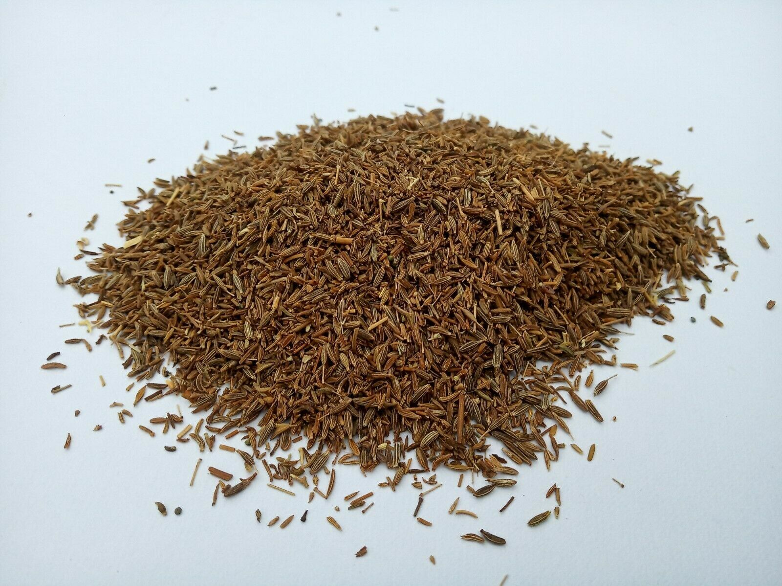 Food to Live Whole Fennel Seeds, Non-GMO Verified, Dried, Raw-100g
