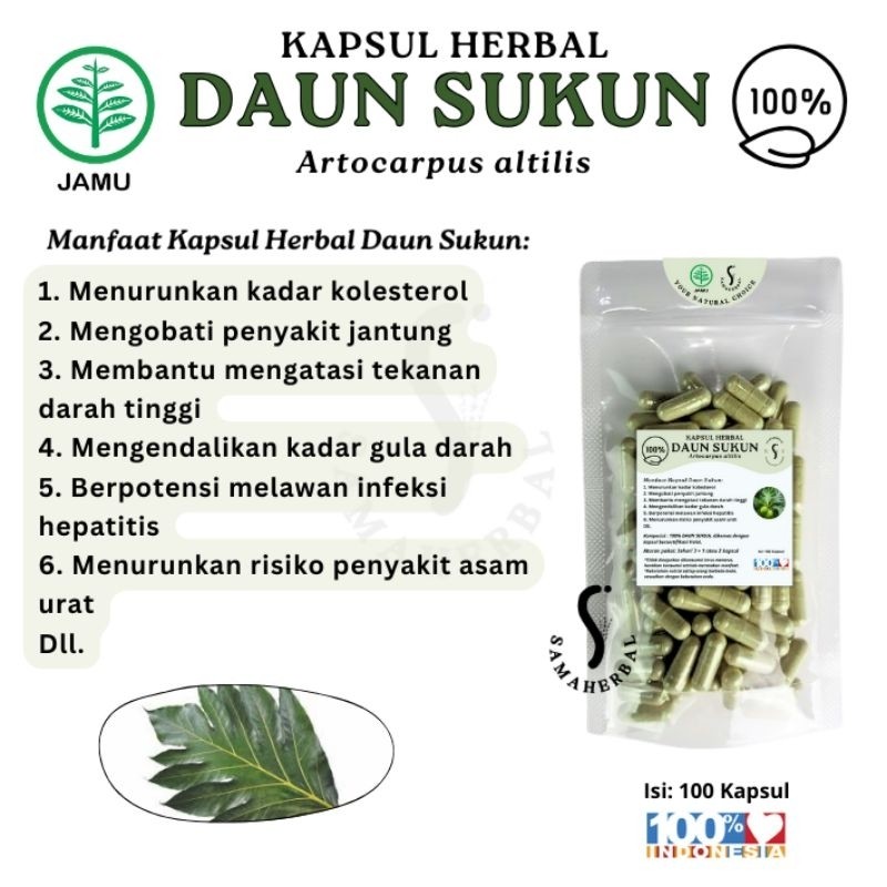 Breadfruit Leaf Herbal Capsules 100 Count Natural Botanical 200g