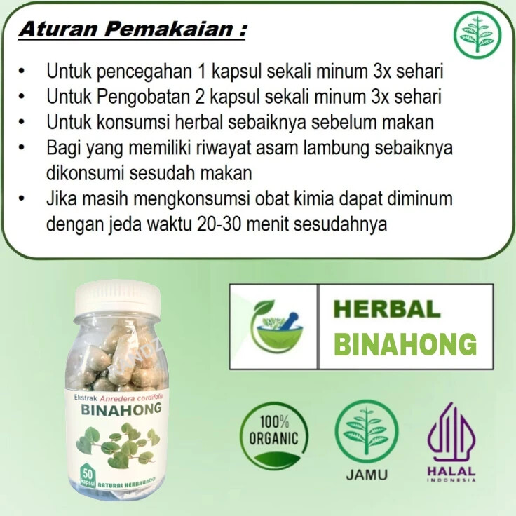 Binahong Natural Organic Herbs Spices Fresh Pure Hygienic Premium Original