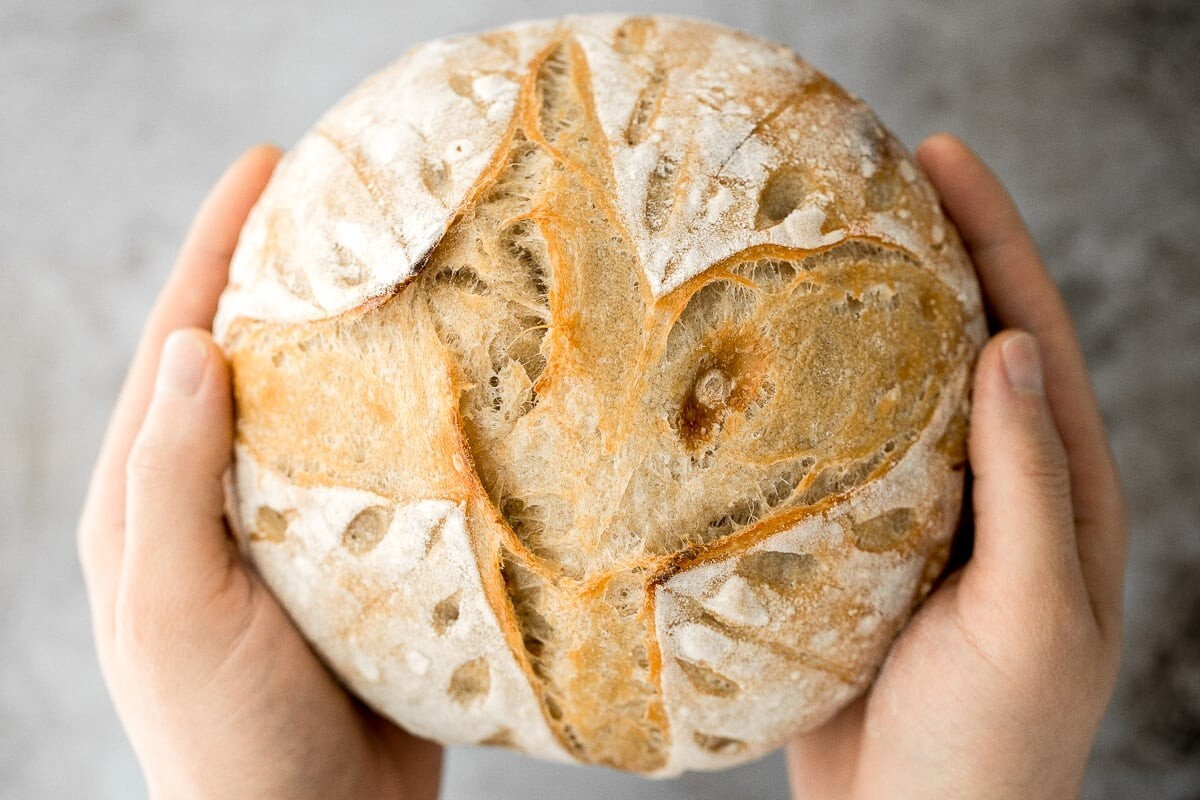 Sourdough Starter San Francisco Heritage Dehydrated Organic – 15 Gram Bag