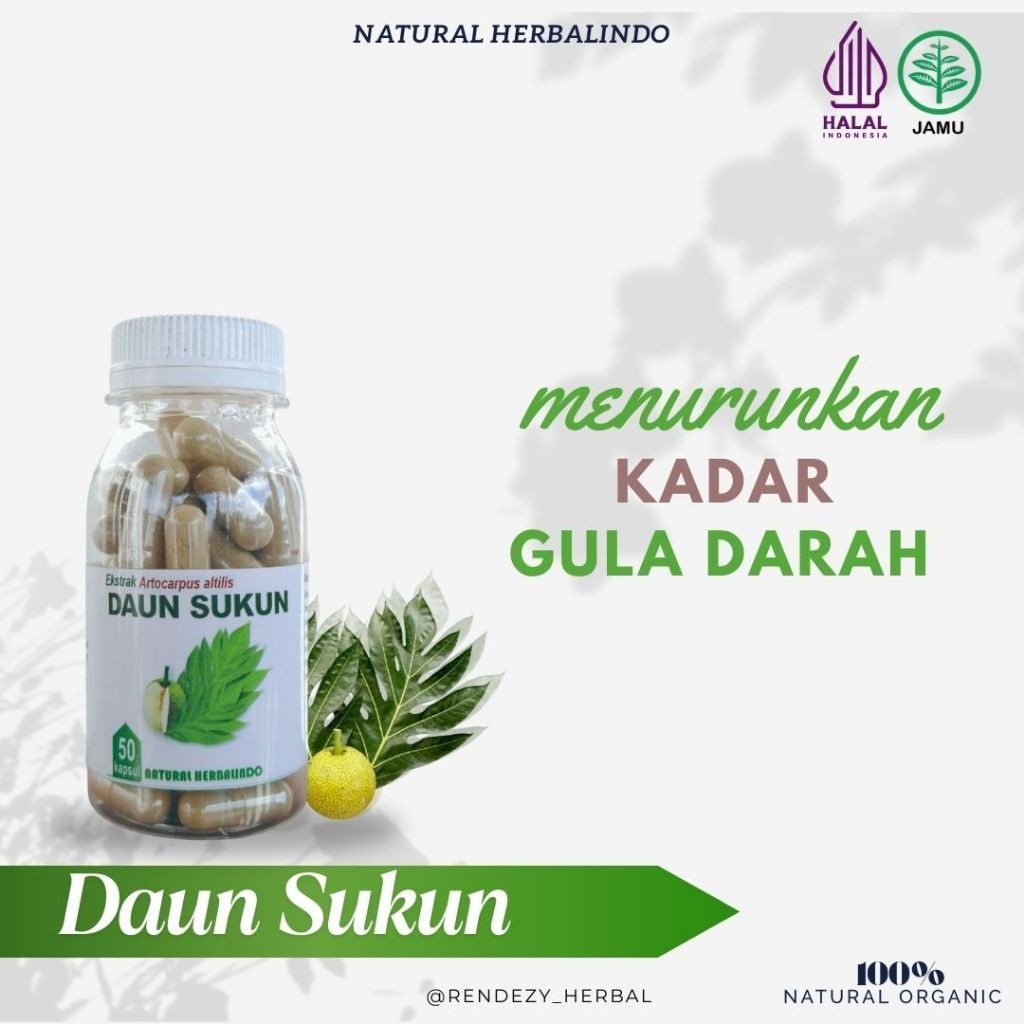 Breadfruit Leaf (Daun Sukun) Capsules 50pcs Indonesia Natural