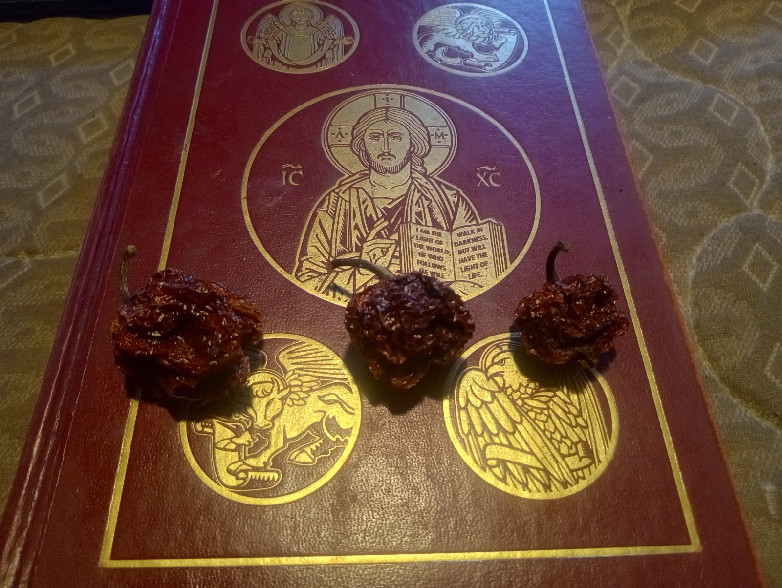 3x Carolina Reaper X Dried Whole Pepper Pods World’s Hottest 25% Hotter