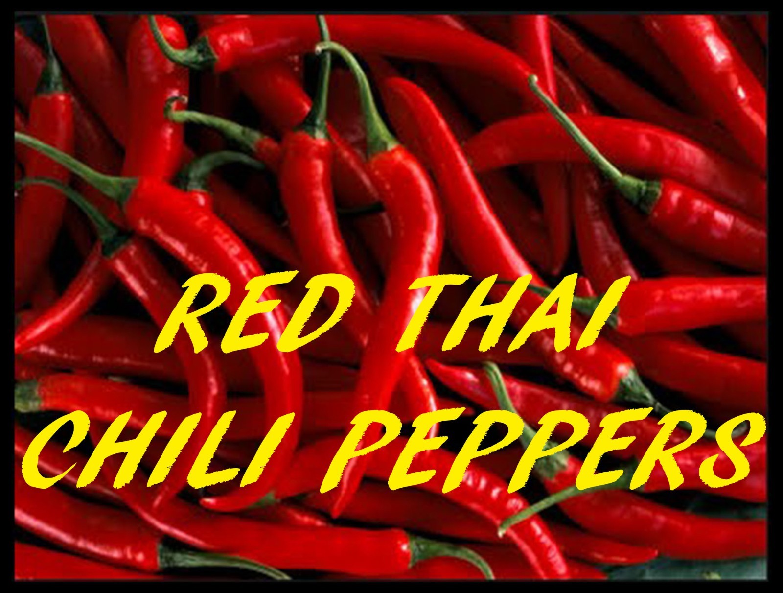 Phoenix Sauce/marinade and Peppers-Carolina Reaper/ Habanero/ Serrano or others