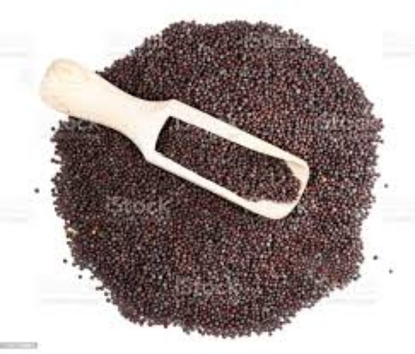 Mustard Whole Seeds Good Quality Natural Ceylon Organic 100% Pure Sri Lanka
