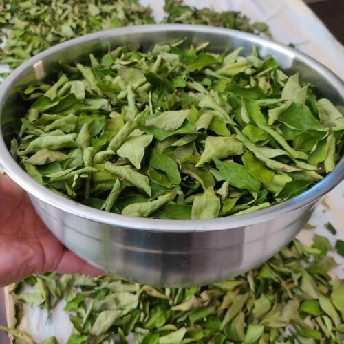 Dry Curry Leaves 100% Organic Fresh Dried Premium Quality Herbs Sri Lankan Spice