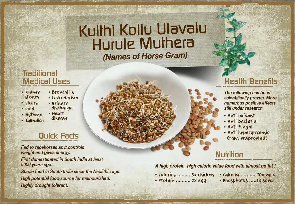 100% Home Made Organic Pure Macrotyloma uniflorum Kulthi 250g