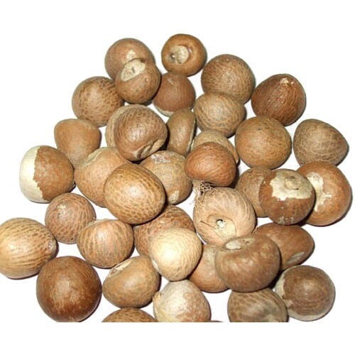Ceylon organic Dried Areca Nut Whole free shipping