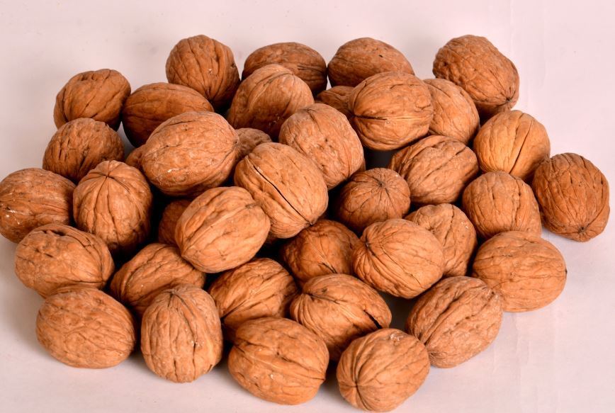 Natural Inshell Raw Walnut Pure Premium Akhrot | Delicious & Crunchy Walnut