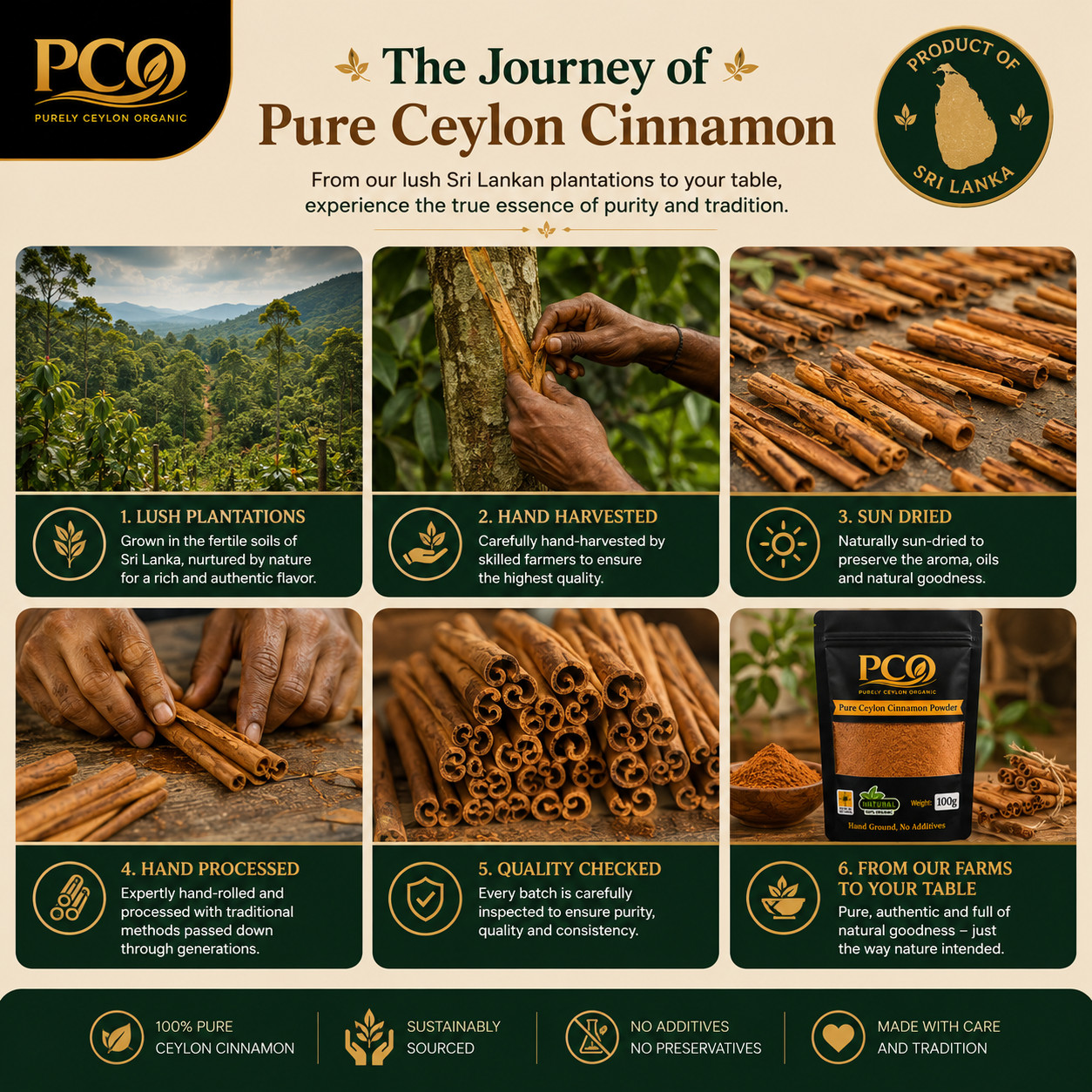 Purely Ceylon Organic Cinnamon Sticks & Powder | Premium Alba Grade True Spice