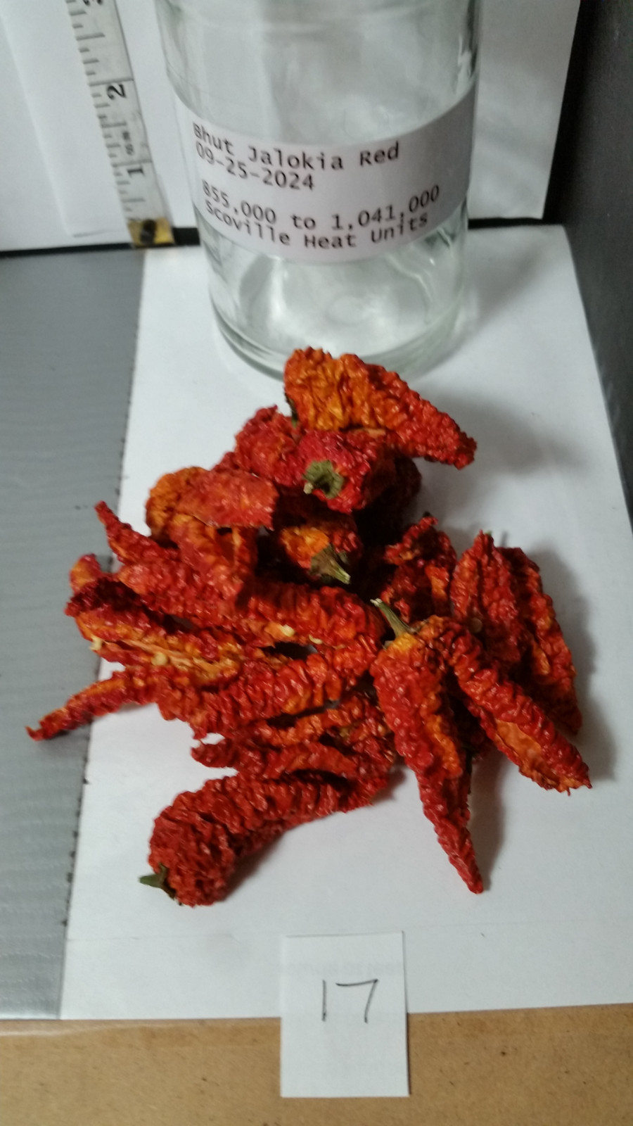 Super Hot Chili Pepper Pods ; Dried ; Organic ; Stored Cool and Dark, Sept. 2024